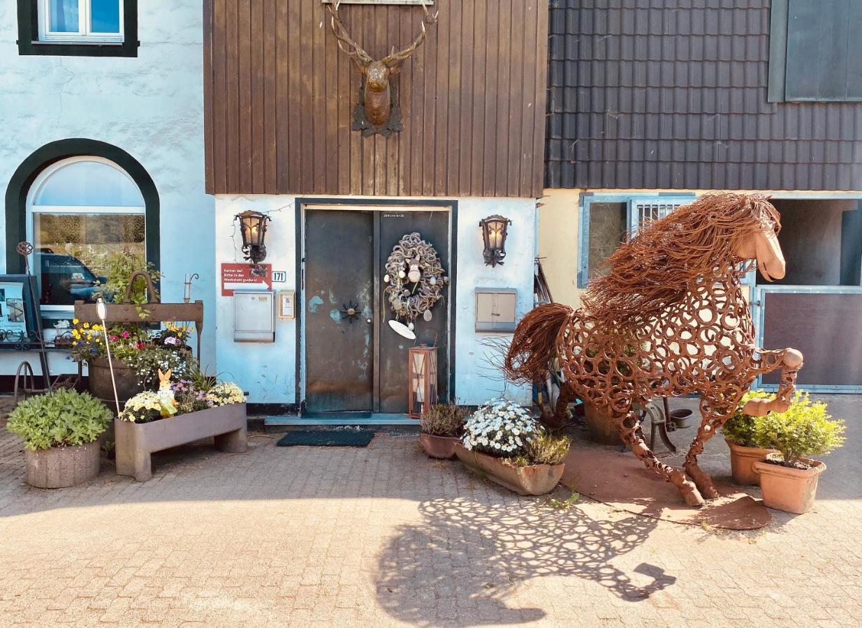 Hof Vierzehnender Im Hohen Venn - 70Qm Maisonette - 2 Schlafzimmer - Wohnkueche - Balkon Mit Grill - Monschau - Eifel - Hunde Willkommen - Islandpferde מראה חיצוני תמונה