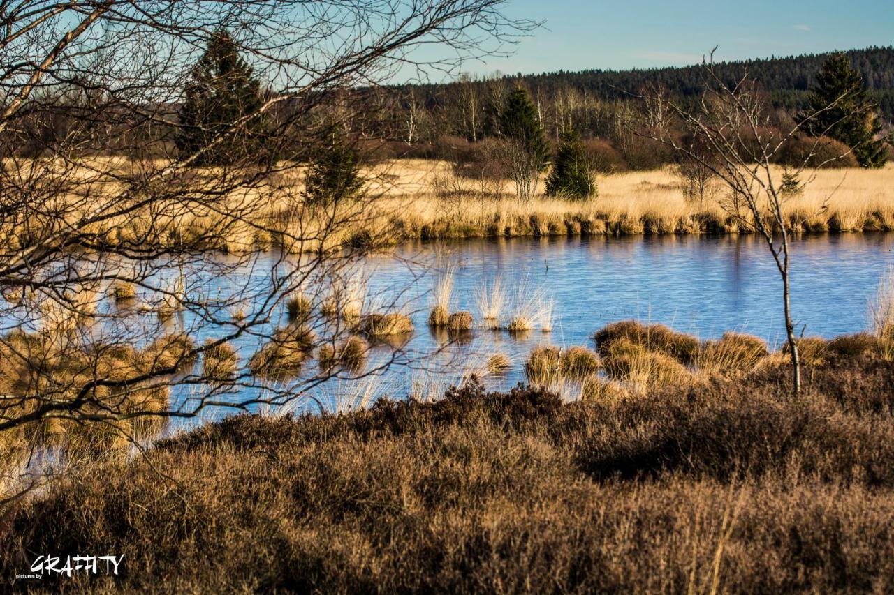 Hof Vierzehnender Im Hohen Venn - 70Qm Maisonette - 2 Schlafzimmer - Wohnkueche - Balkon Mit Grill - Monschau - Eifel - Hunde Willkommen - Islandpferde מראה חיצוני תמונה