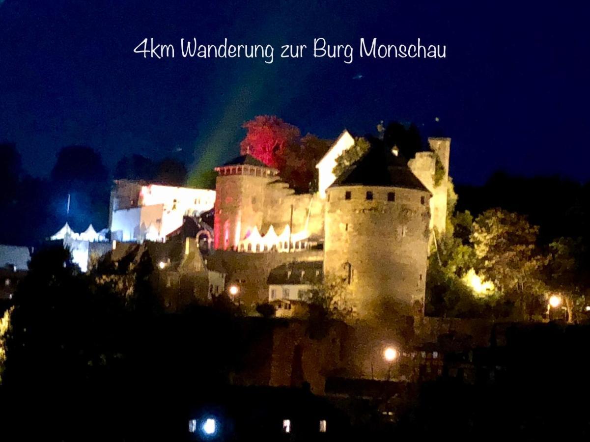 Hof Vierzehnender Im Hohen Venn - 70Qm Maisonette - 2 Schlafzimmer - Wohnkueche - Balkon Mit Grill - Monschau - Eifel - Hunde Willkommen - Islandpferde מראה חיצוני תמונה