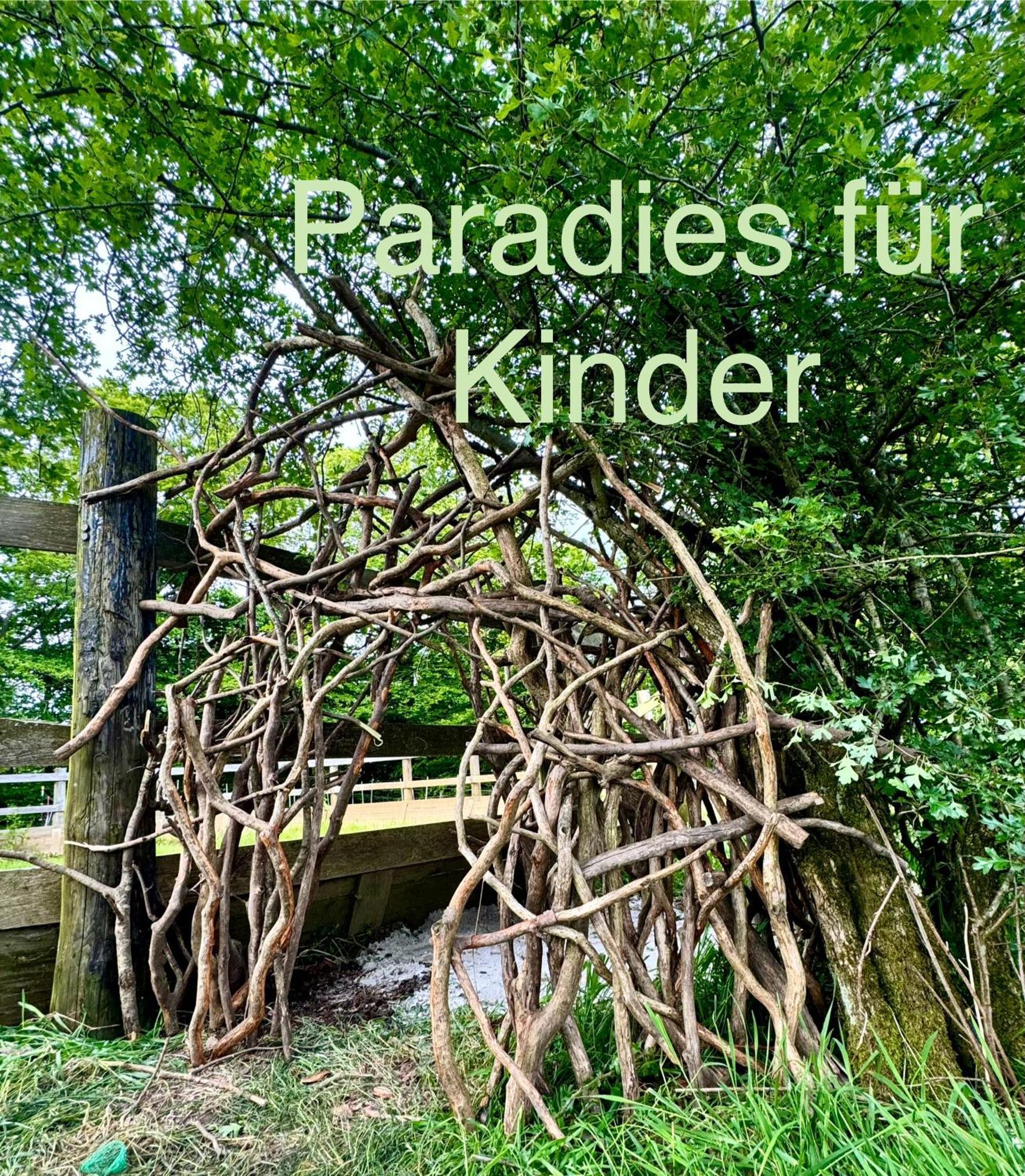 Hof Vierzehnender Im Hohen Venn - 70Qm Maisonette - 2 Schlafzimmer - Wohnkueche - Balkon Mit Grill - Monschau - Eifel - Hunde Willkommen - Islandpferde מראה חיצוני תמונה