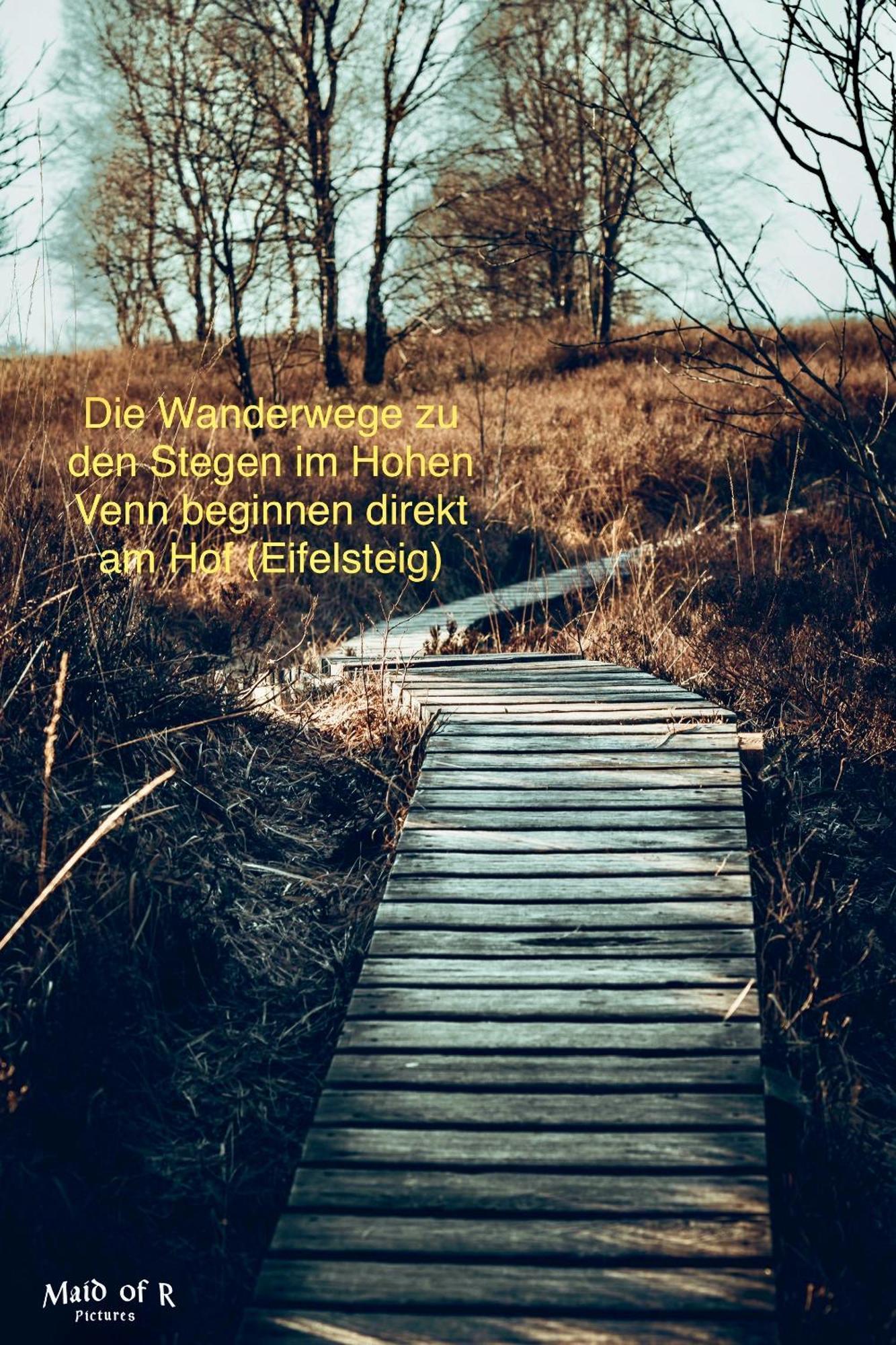 Hof Vierzehnender Im Hohen Venn - 70Qm Maisonette - 2 Schlafzimmer - Wohnkueche - Balkon Mit Grill - Monschau - Eifel - Hunde Willkommen - Islandpferde מראה חיצוני תמונה