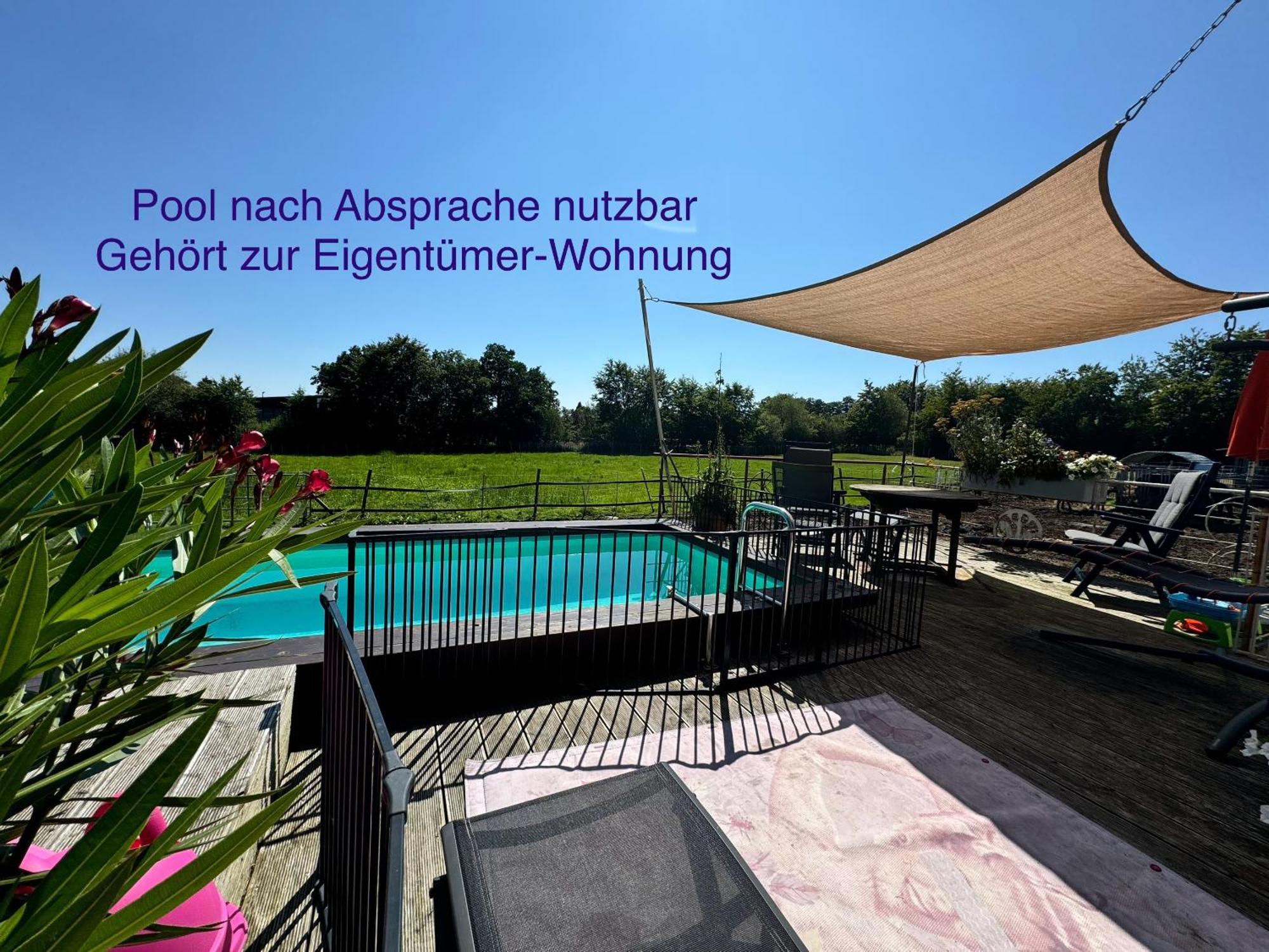 Hof Vierzehnender Im Hohen Venn - 70Qm Maisonette - 2 Schlafzimmer - Wohnkueche - Balkon Mit Grill - Monschau - Eifel - Hunde Willkommen - Islandpferde מראה חיצוני תמונה
