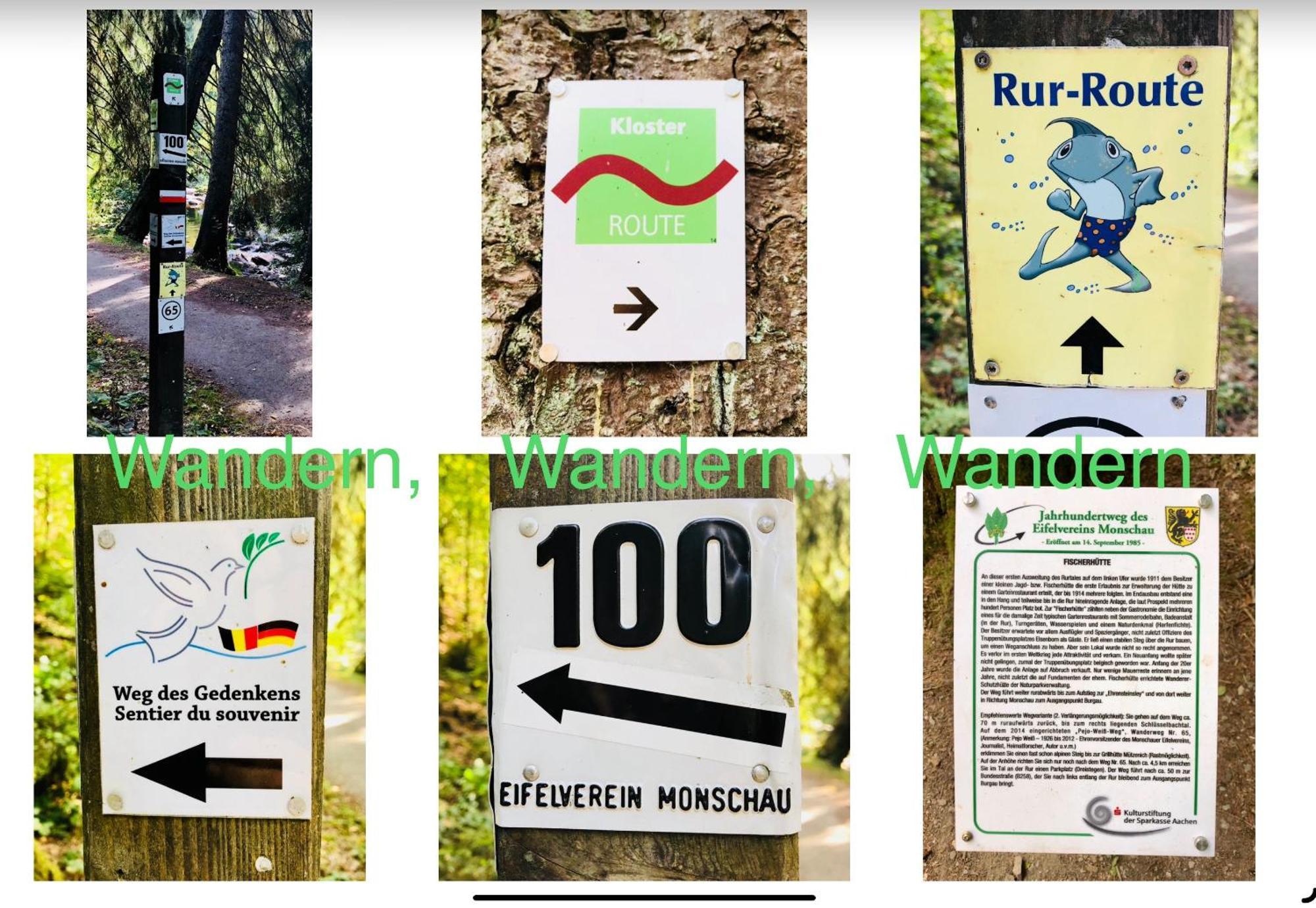 Hof Vierzehnender Im Hohen Venn - 70Qm Maisonette - 2 Schlafzimmer - Wohnkueche - Balkon Mit Grill - Monschau - Eifel - Hunde Willkommen - Islandpferde מראה חיצוני תמונה